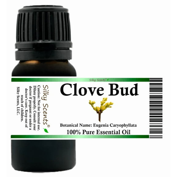Clove Bud Essential Oil 5 ml (1/6 fl oz) - 100% Pure and Natural by Silky Scents