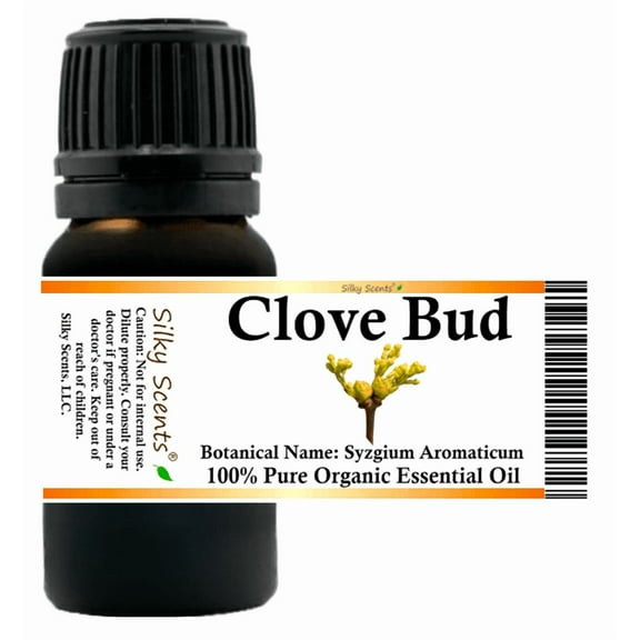 Clove Bud Organic Essential Oil 5 ml (1/6 fl oz) - 100% Pure and Natural by Silky Scents