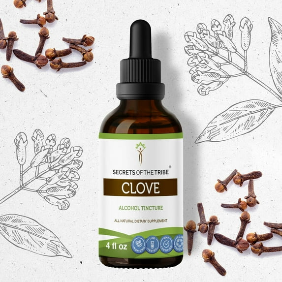 Clove Tincture Alcohol Extract, Organic Clove Ding xiang, Syzygium Aromaticum Healthy Digestion 4 oz