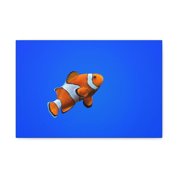 Clown Fish Hunting Clown Fish on Hunt Print Animal Wall Art Wildlife Canvas Prints Wall Art Ready to Hang Unframed