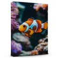 thumbnail image 1 of Clownfish Ocellaris Canvas Wall Art Animal Decor, Clownfish Ocellaris Canvas Prints Wild Animal Artwork for Living Room Bedroom Office 190HD263, 1 of 4