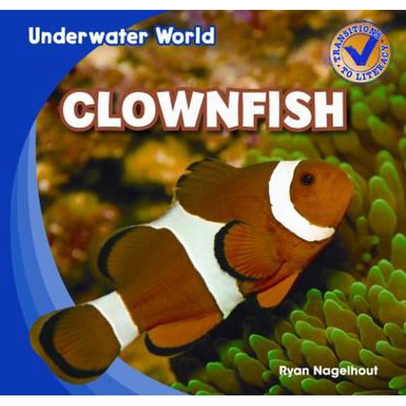 Pre-Owned Clownfish (Paperback) 1433985640 9781433985645
