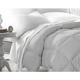 thumbnail image 1 of Club Le Med Down-Alternative Comforter - Twin, 1 of 2