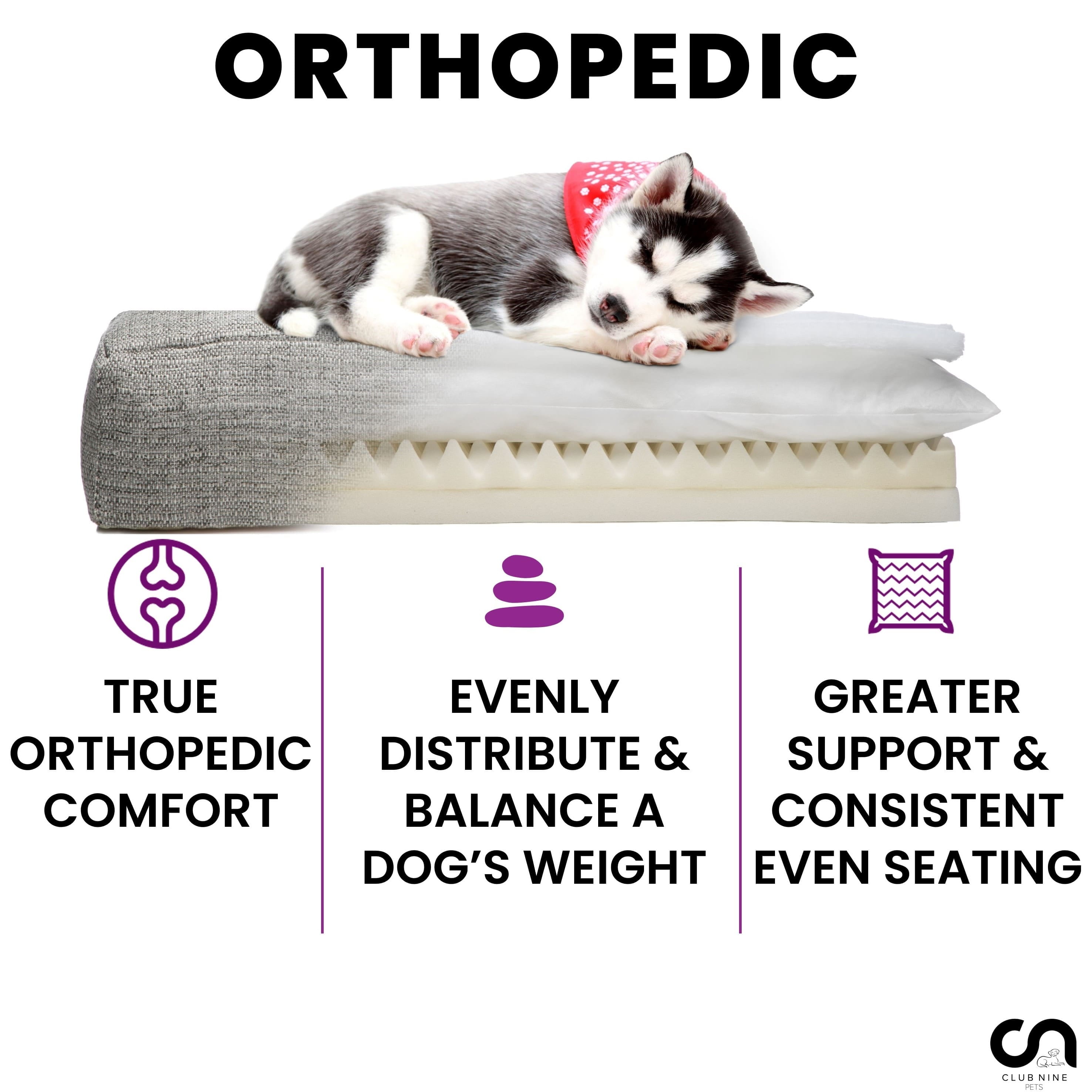 Large Oatmeal Orthopedic Elevated Dog Sofa Bed