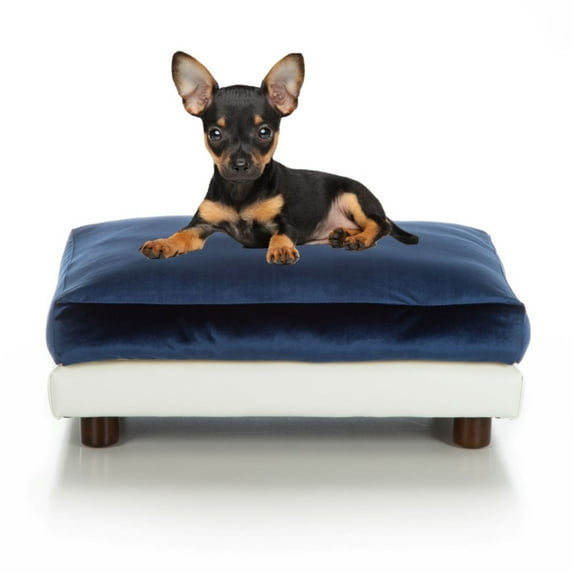 Club Nine Pets Milo Elevated Orthopedic Pet Bed for Dogs, Medium, Navy.