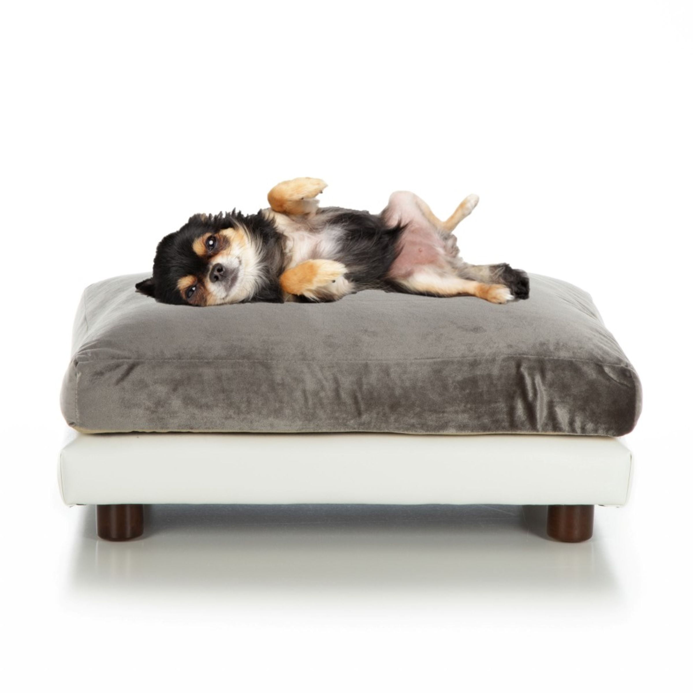 Club Nine Pets Milo Orthopedic Dog Bed, Medium, Pewter.