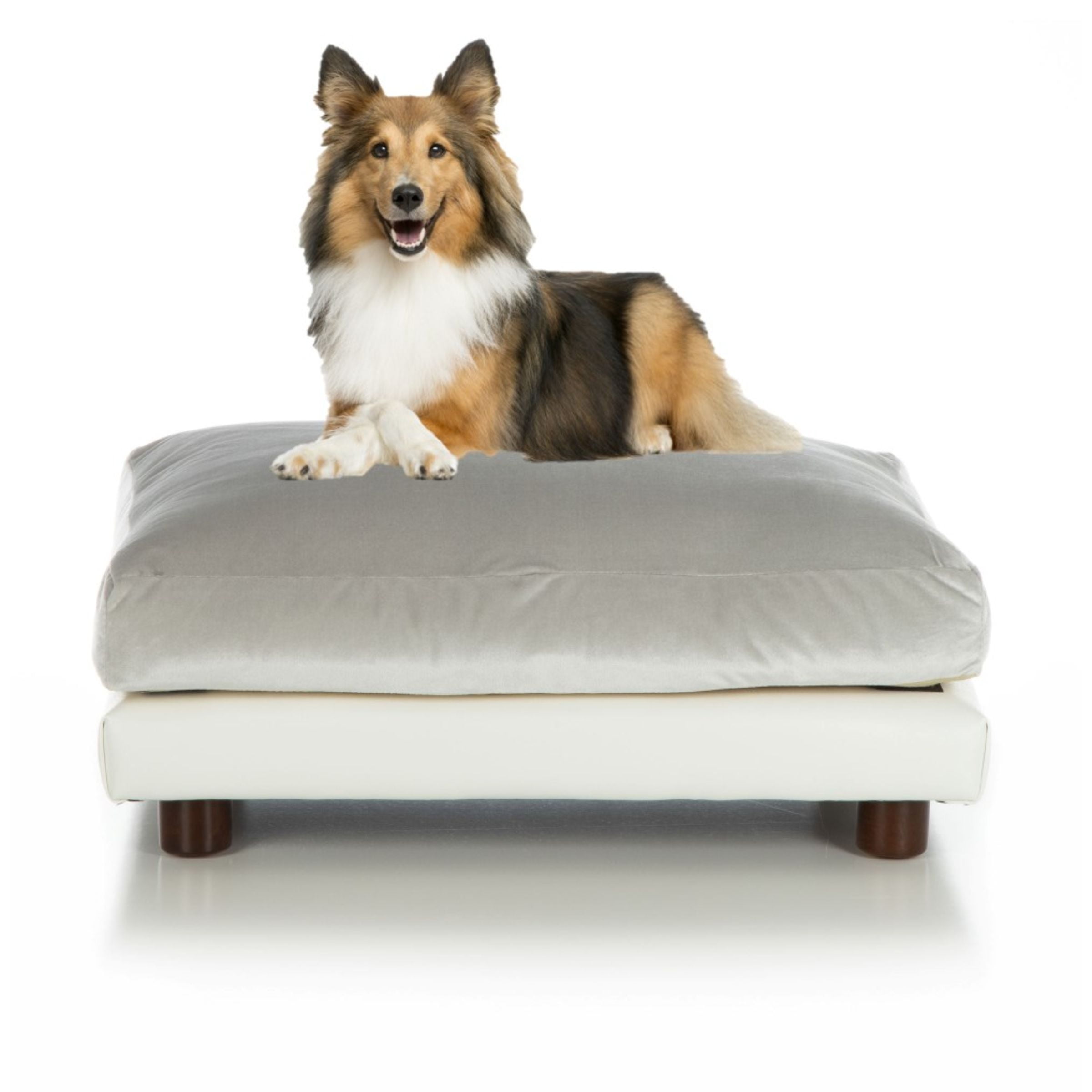 Club Nine Pets Milo Orthopedic Dog Bed, Medium, Silver.
