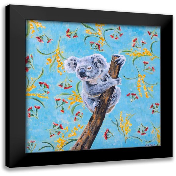 Clumeck, Alana 12x12 Black Modern Framed Museum Art Print Titled - Koala