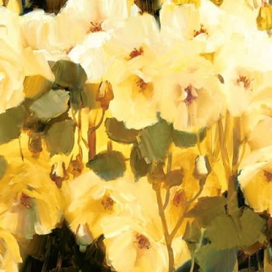Cluster Of Blooms Canvas Art - Ann Neate (24 x 24)