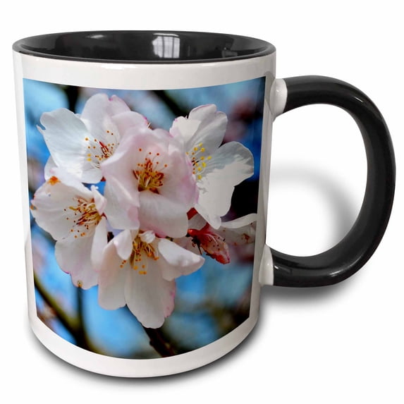 3drose, Cluster of Cherry Blossoms Photo of a Cherry Blossom Tree in Georgia, 15oz Two-tone Black Mug