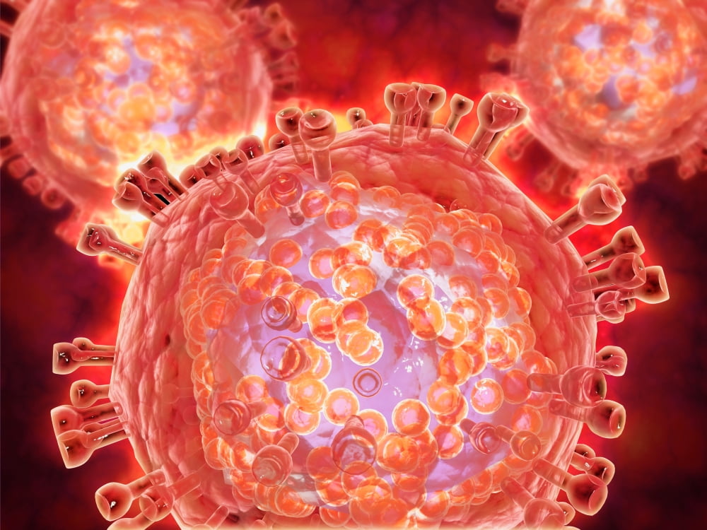 Cluster of HIV virus Canvas Art - Stocktrek Images (17 x 13)