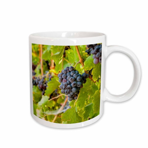 3drose, Clusters of Grenache Grapes in a Yakima Valley, Wa, Vineyard., 11oz Mug