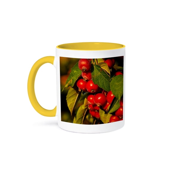 3dRose, Clusters of red crabapple fruits on a tree, green leaves, 15oz Two-Tone Yellow Mug