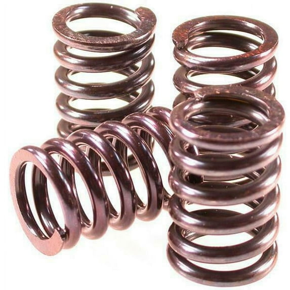 Clutch Spring Kit