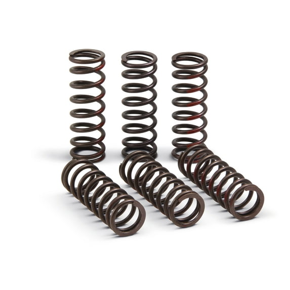 Clutch Spring