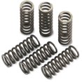 thumbnail image 1 of Clutch Springs, 1 of 1
