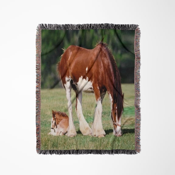 Clydesdale Mare And Foal Horses, Woven Blanket