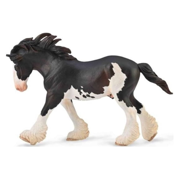 Clydesdale Stallion