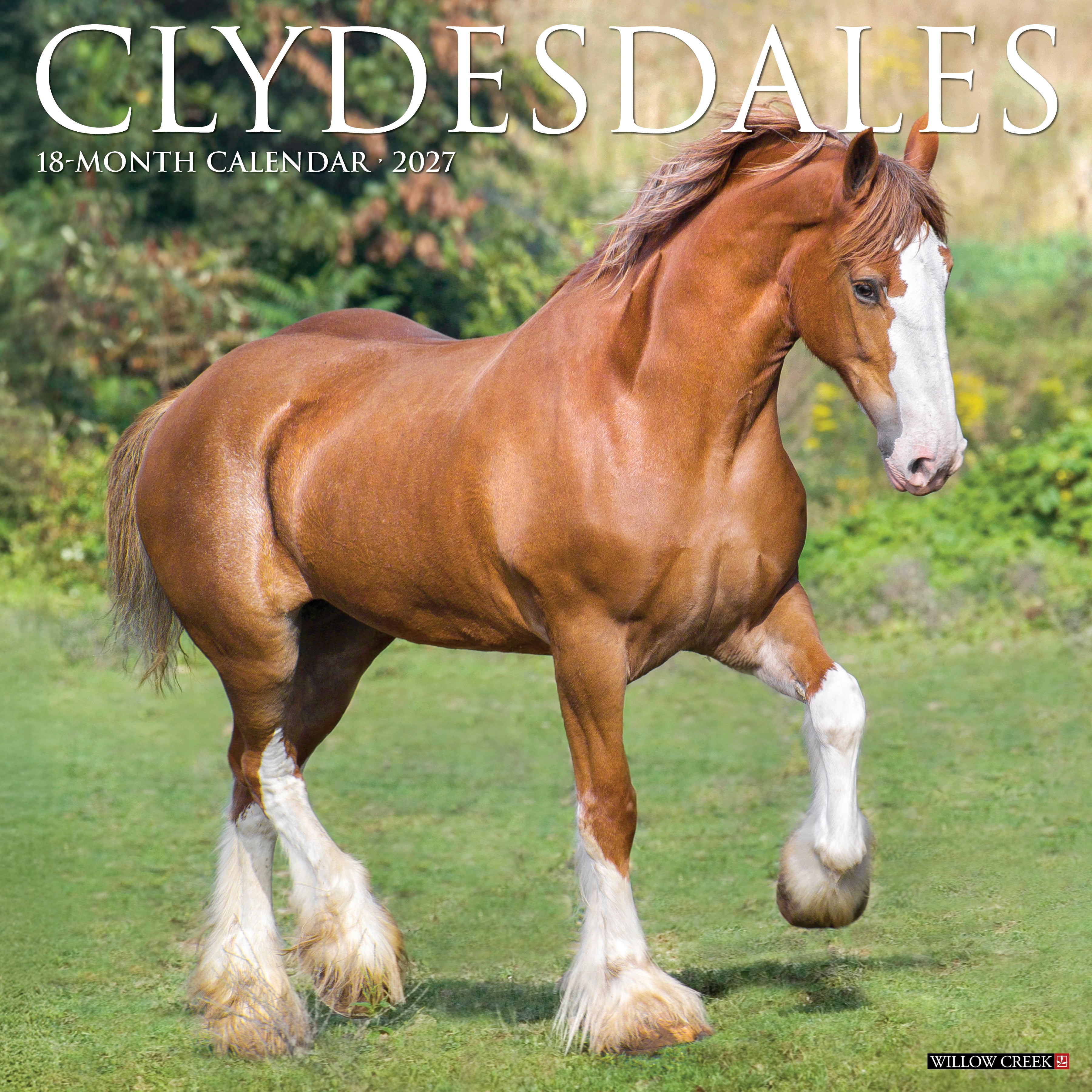 Willow Creek Press, Clydesdales 2027 Wall Calendar