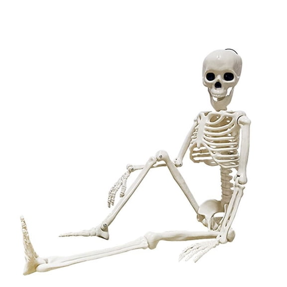 Cmafuca Halloween Skeleton Decorations Full Body Life Size Posable Skeletons with Movable Joints Spooky Poseable Skeletons for Teaching Tool Haunted House Graveyard