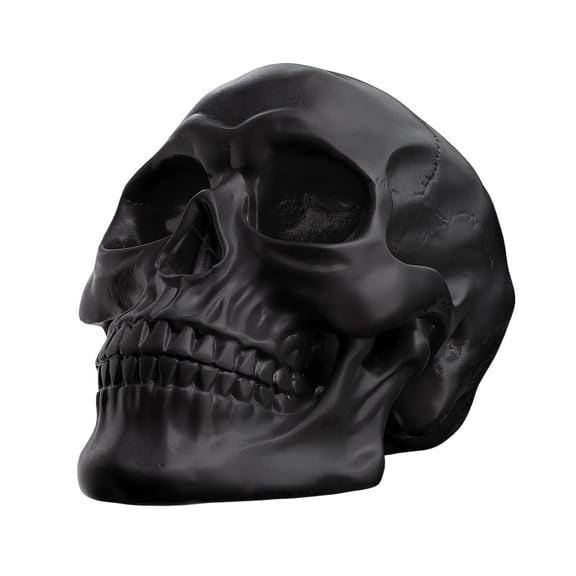Cmafuca Resin Skull, Human Head Model for Home Decoration, Halloween Statue, Skull Model for Bookshelf and Desktop