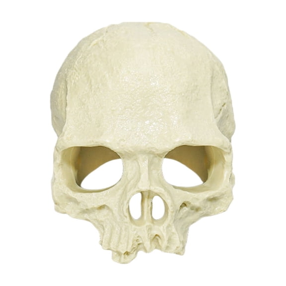 Cmafuca Skull Aquarium Ornament Reptile Hideout Cave, Terrarium Decor Shelter For Turtle Lizards Geckos Snake, PVC Safe Rest House
