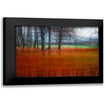 Cmarits, Hannes 14x11 Black Modern Framed Museum Art Print Titled - Abstract Autumn