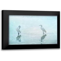 Cmarits, Hannes 14x11 Black Modern Framed Museum Art Print Titled - White Cranes