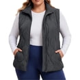 thumbnail image 1 of Cmfcve Womens Plus Size Quilted Vest Stand Collar Sleeveless Puffer Jacket Full Zip Fall Winter Casual Layering Outerwear, 1 of 7