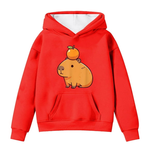 Cnbwig Girls Sweatshirts Toddler Jacket Cute Capybara Print Pullover Long Sleeve Hooded Drop Shoulder Sweatshirt Loose with Pockets Casual Hoodie Child's Shirts A-Red 13-14 T