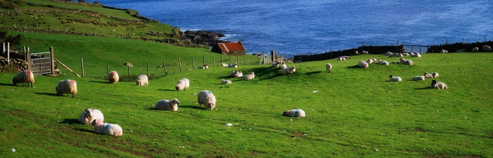 Co Cork Beara Peninsula Canvas Art - The Irish Image Collection Design Pics (44 x 14)