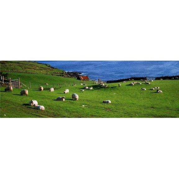 Co Cork Beara Peninsula Poster Print by The Irish Image Collection, 44 x 14 - Large