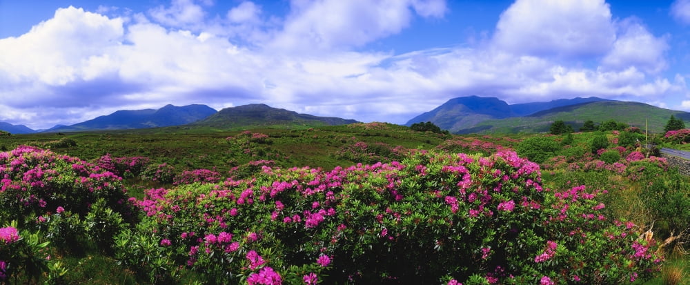 Co Galway Ireland Landscape Near Killary Harbour Canvas Art - The Irish Image Collection Design Pics (44 x 18)