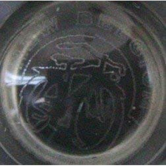 Co. Globe Beer Glass - 16 oz - 2 Pack