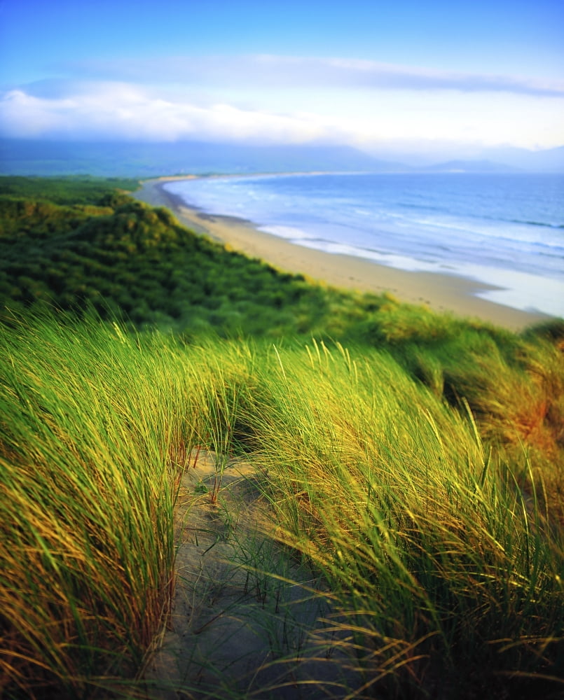 Co Kerry Castlegregory Sandunes Canvas Art - The Irish Image Collection Design Pics (26 x 34)