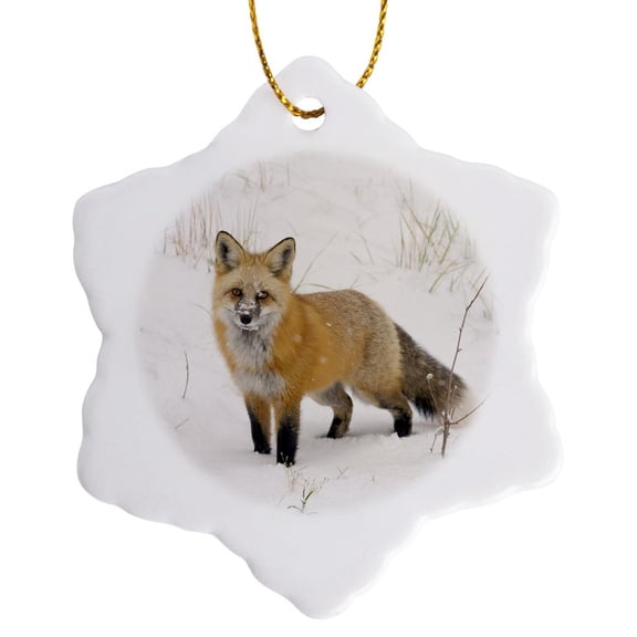 3drose, Co, Pike National Forest, Red Fox - Us06 Bja0184 - Jaynes Gallery, 3 inch Snowflake Porcelain Ornament