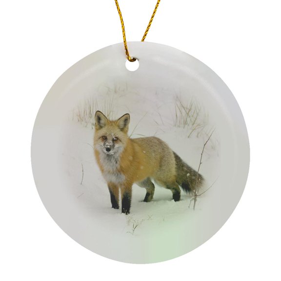 3drose, Co, Pike National Forest, Red Fox - Us06 Bja0184 - Jaynes Gallery, Circle Porcelain Ornament