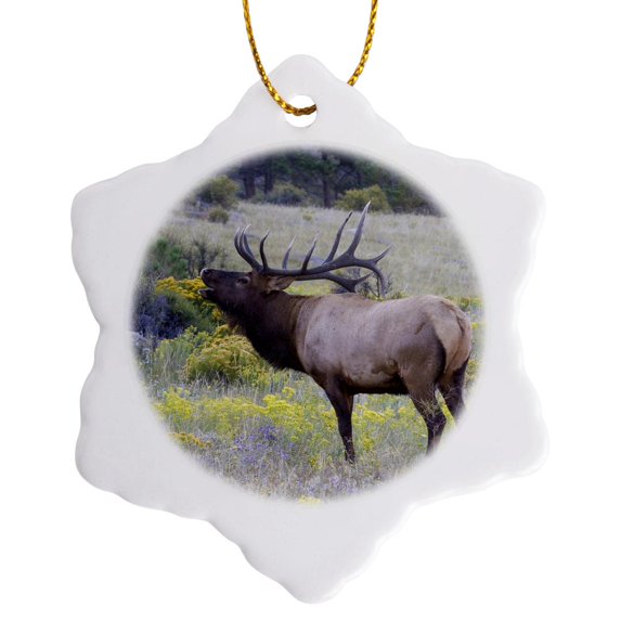3drose, Co, Rocky Mountain Np, American Elk - Us06 Djo0032 - Diane Johnson, 3 inch Snowflake Porcelain Ornament