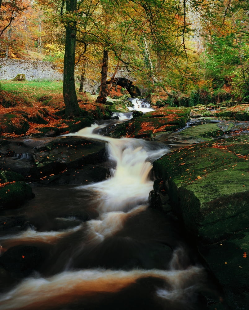 Co Wicklow Ireland Waterfalll Near Sally Gap Canvas Art - The Irish Image Collection Design Pics (13 x 17)