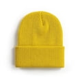 thumbnail image 1 of CoCopeanut 2021 Winter Hats for Women Men New Beanies Knitted Solid Cool Hat Girls Autumn Female Beanie Warm Bonnet Casual Cap Wholesale, 1 of 6