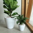 thumbnail image 1 of CoSoTower 2-Pack Smart Self-Watering Planter Pot for Indoor and Outdoor - White - Round Cone, 1 of 6