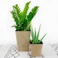 thumbnail image 1 of CoSoTower 2-Pack Smart Self-Watering Square Planter for Indoor and Outdoor - Hand Woven Wicker - Brown, 1 of 7