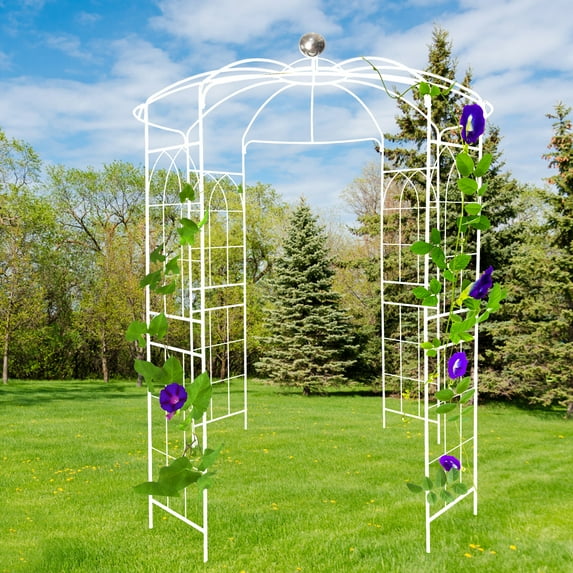 CoSoTower Metal Garden Arch Iron Garden Arbors Gazebo Dia 81.3'' X 114.2'' High Birdcage ShaPE Pergola Pavilion for Wedding Ceremony White