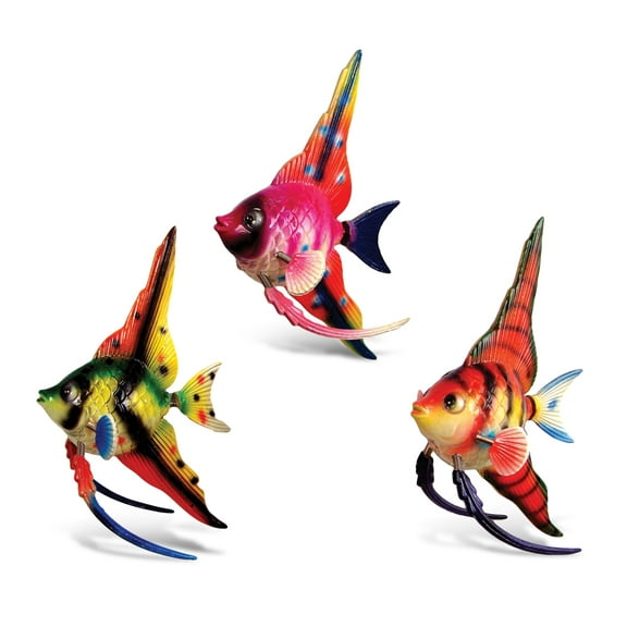CoTa Global Angelfish Refrigerator Bobble Magnets Set of 3 Assorted Color