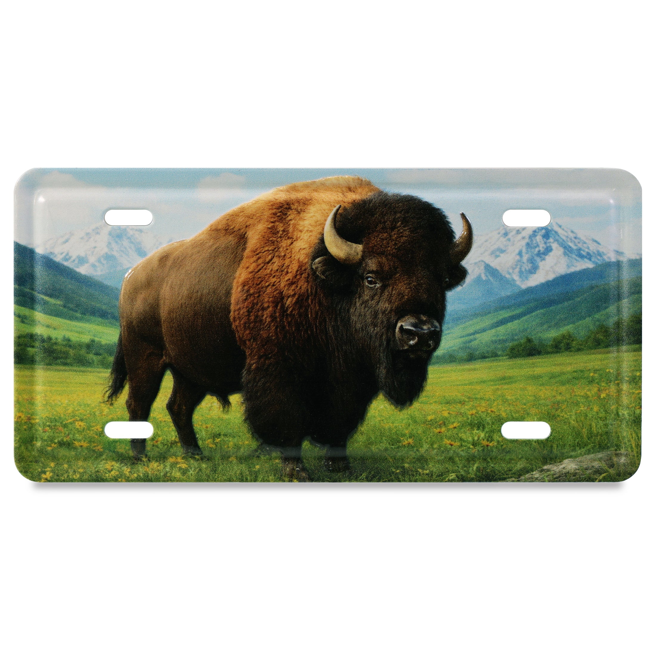 CoTa Global Decorative Bison License Plate Magnet - Fun Wildlife Animal ...