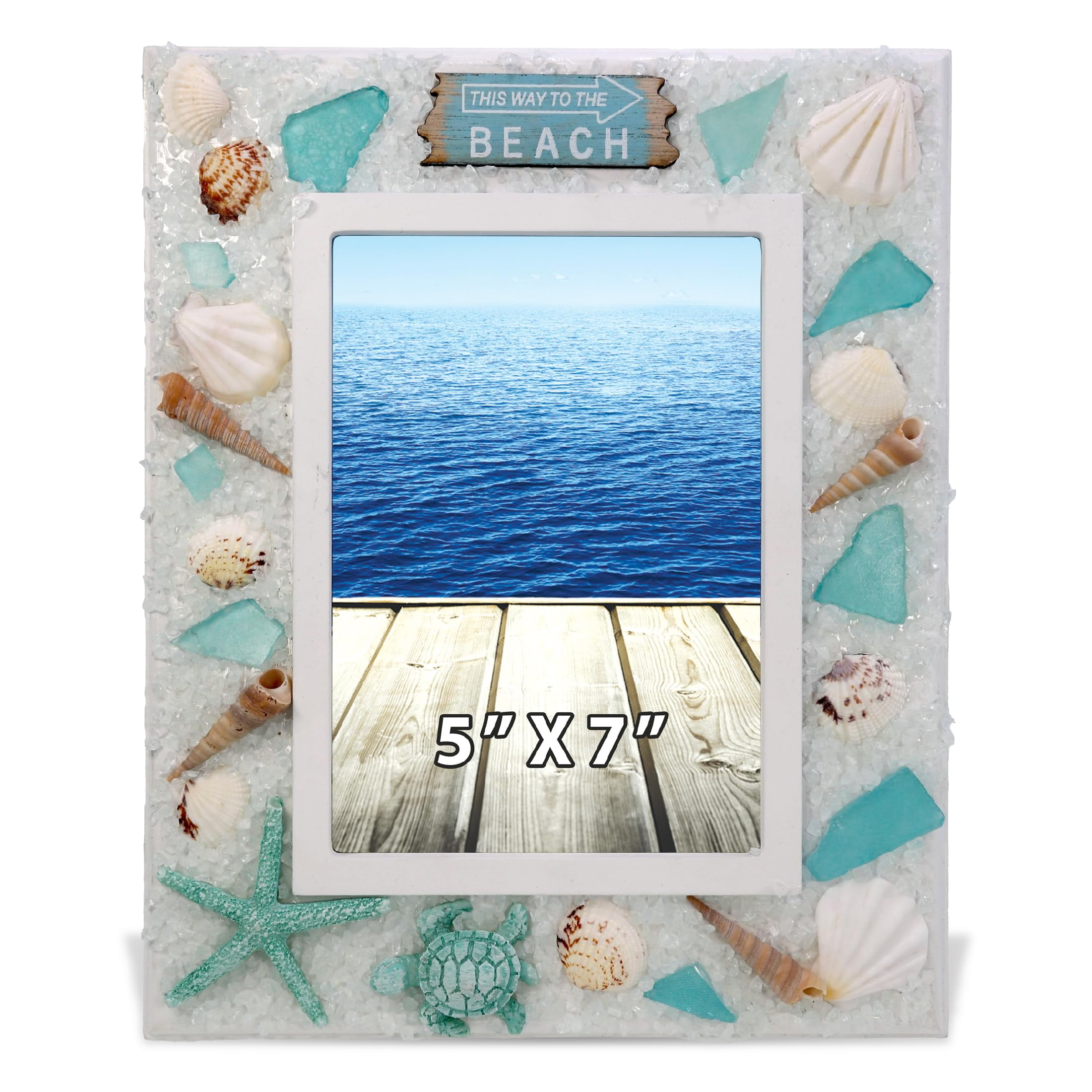 Every Seashell Tells a Story Seaside Theme Wooden Wall Décor by Wayfair