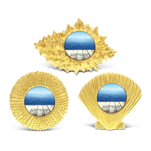 CoTa Global Resin Gold Ocean Inspired 2.75x2.75 Beach Frames - Resin Seashell Photo Frames, Handmade Picture Frame for Tabletop Decor, 6.75 Inch, Set of 3