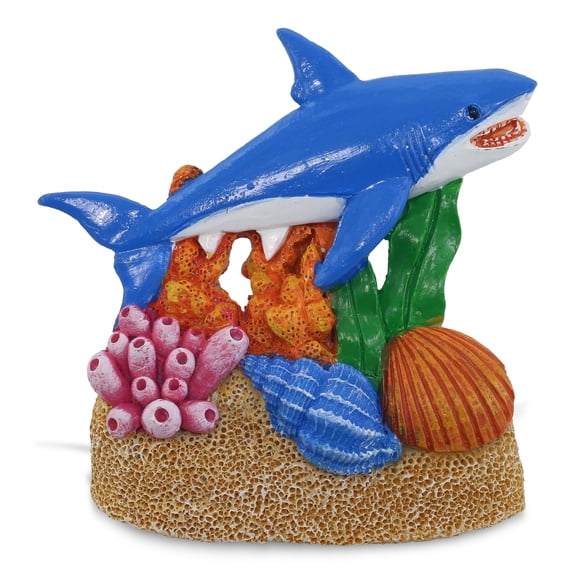 CoTa Global Sand Coral Shark Refrigerator Nautical Colorful Magnet - Ocean Animal Resin Beach Design, Fun and Cute Ocean Magnet For Kitchen Fridge, Locker, Home Decor and Office Decor Novelty