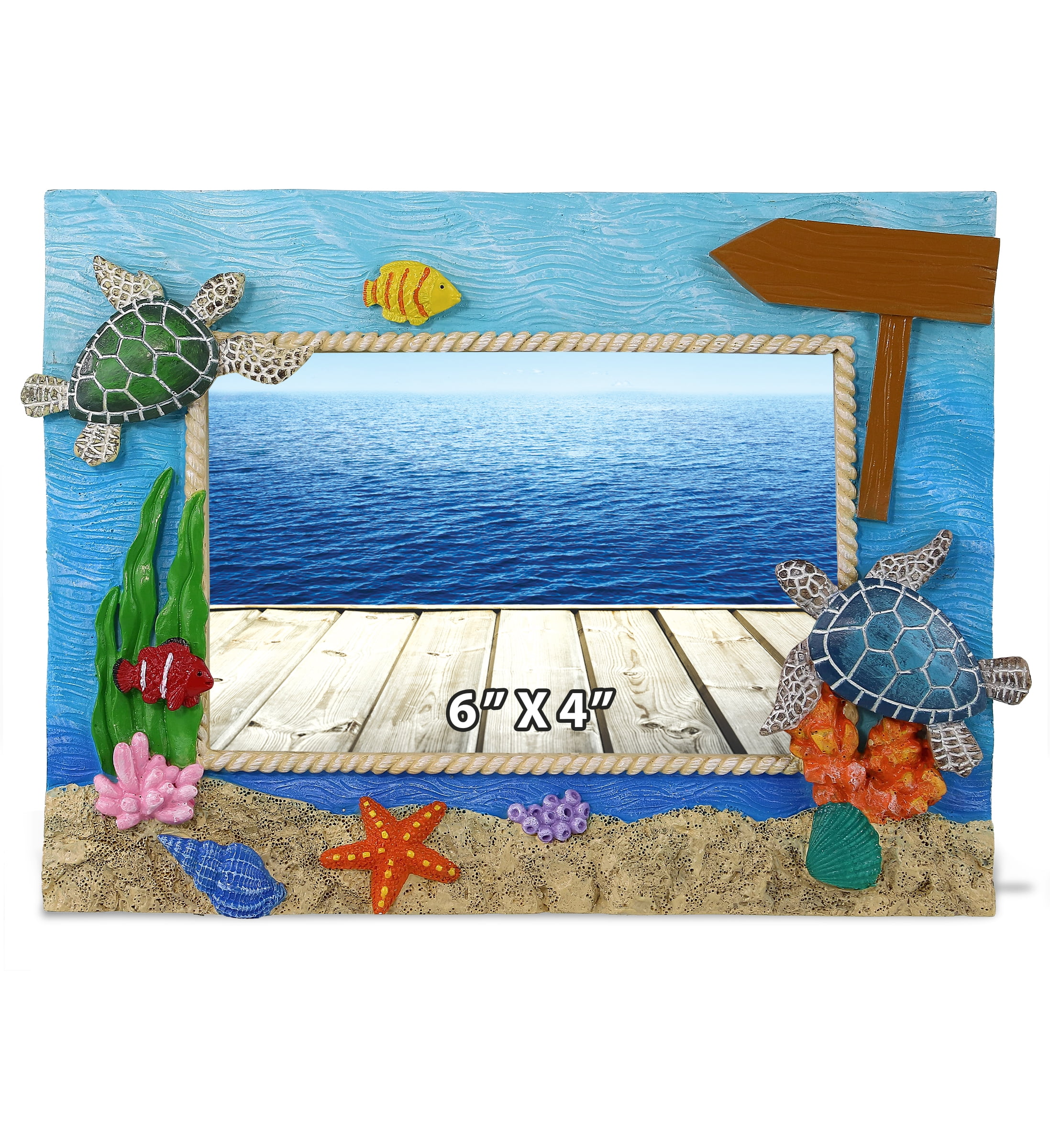 プリントw/フレーム【Colorfornia beautiful ocean】 Amazon.com - CoTa Global Oceanic Sea Shell Beach 6x4 Frame