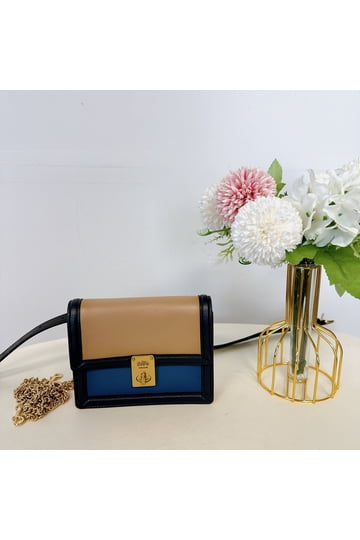 Coach Colorblock